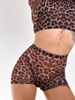 SET TOP AND SHORTS, collection LEO, Mesh, Leo, XS